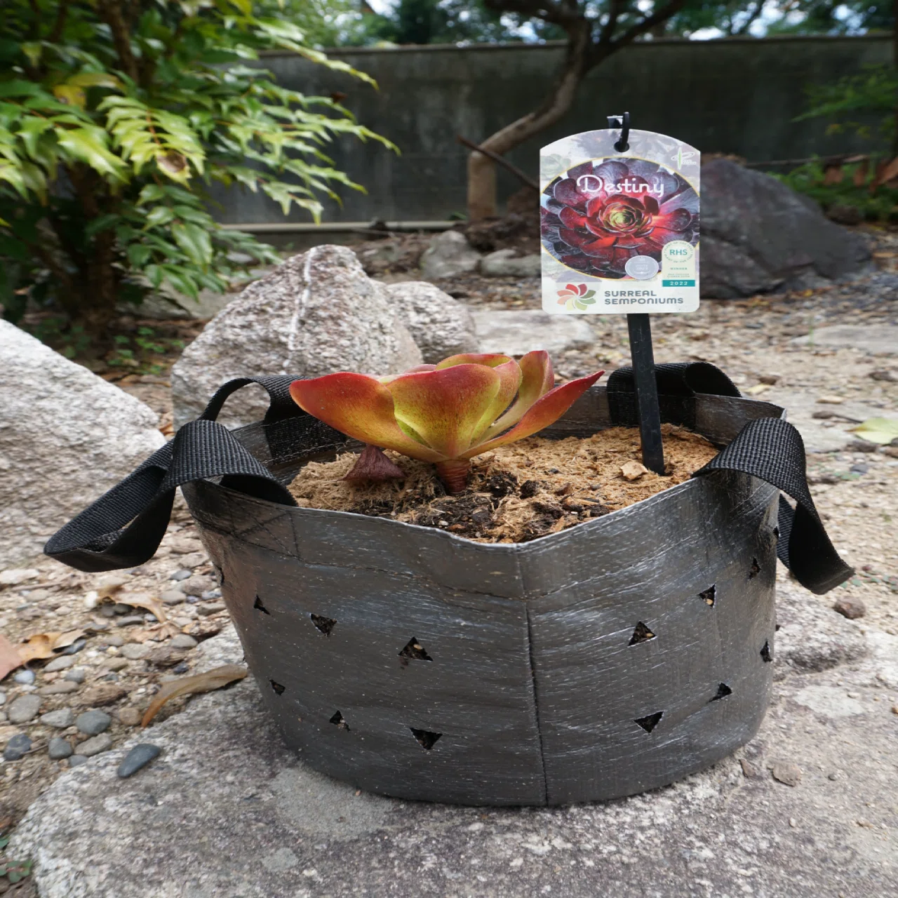 未来に向けた かつてない植木鉢『MIRAI POT』｜農業とエクステリアの