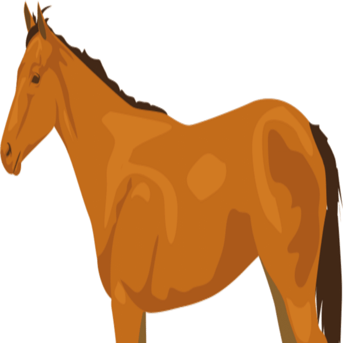 2歳戦出走馬の気になる馬体について語ろう【'25.8月編】――書く競馬⑧