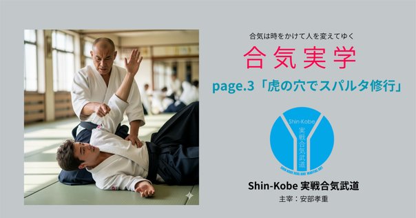 合気道 鶴山晃瑞著 図解コーチ合気道 鶴山晃瑞著 成美堂 Amazon.co.jp: 合気道