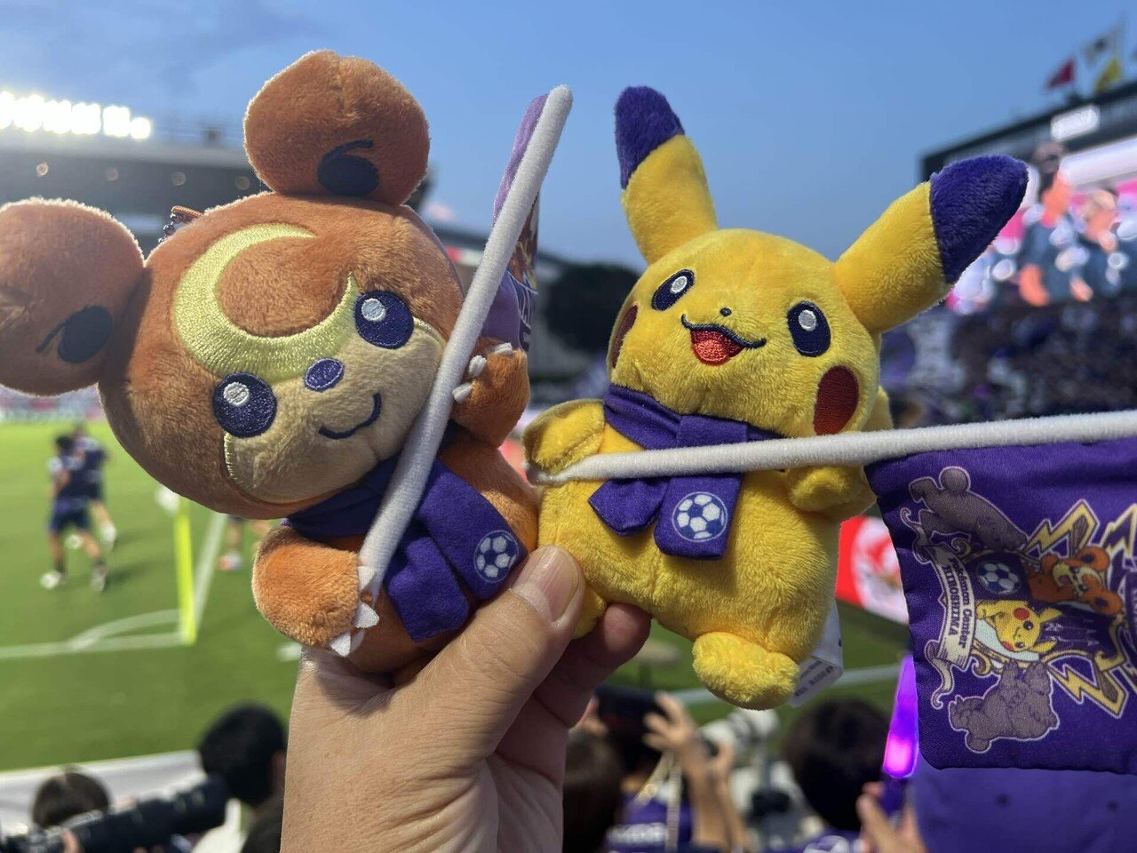 サンフレッチェ×ポケモンセンターヒロシマ マスコット ヒメグマ 10個