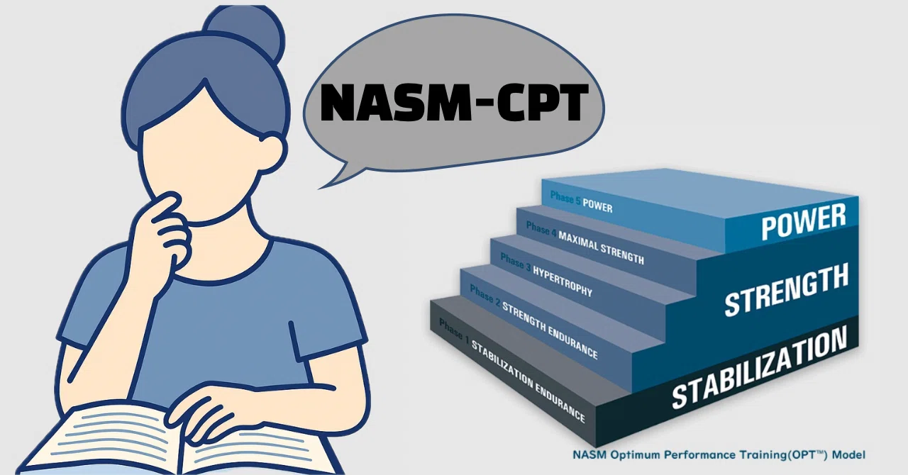 パーソナルトレーナー～NASM-CPT勉強法とOPT理論｜ゆかり@NASM理論を