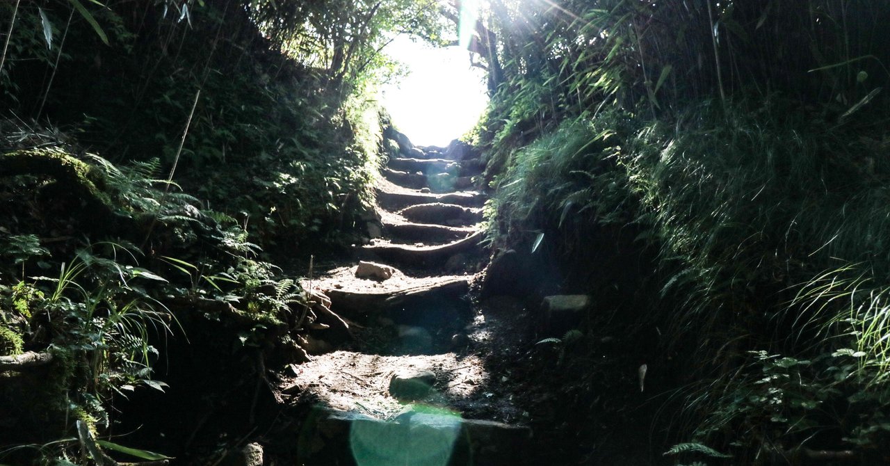 甲陽学院中受験者の併願校候補一覧 5日目以降 virtual1 note