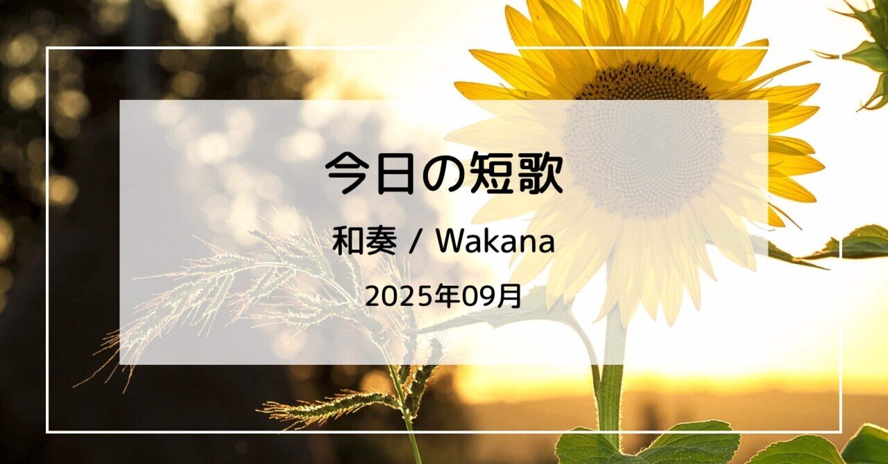 ♢和歌二冊 献上包 和歌短冊入 短歌｜書籍｜書肆侃侃房