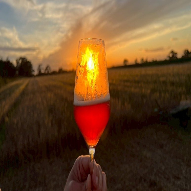 十勝の若手農家が綴る 日常NOTE】 アサヒ色のBEERが遂に完成