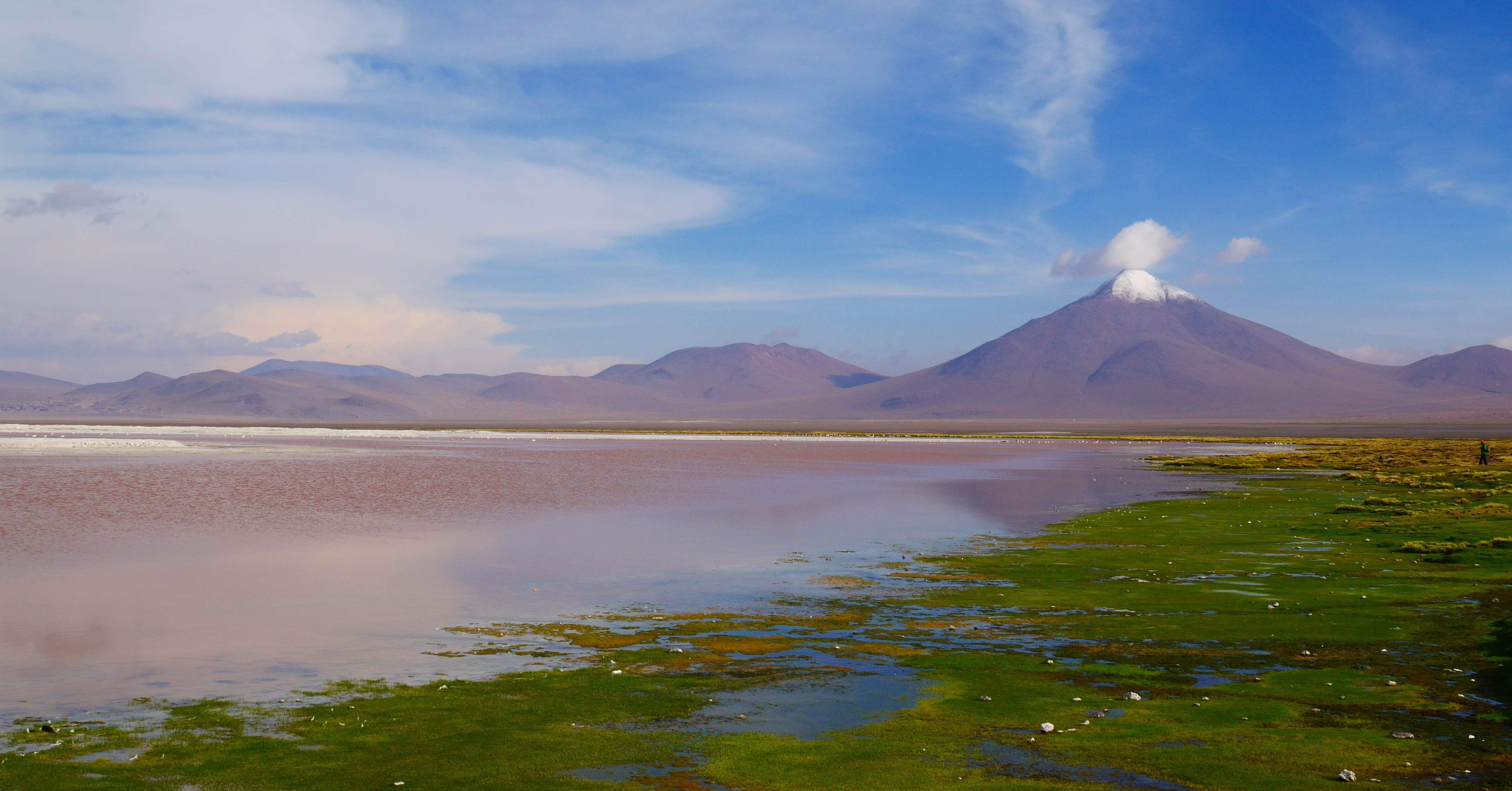 ピンクレイクの謎を、ロンドンの博物館で解いた話｜あさのひ