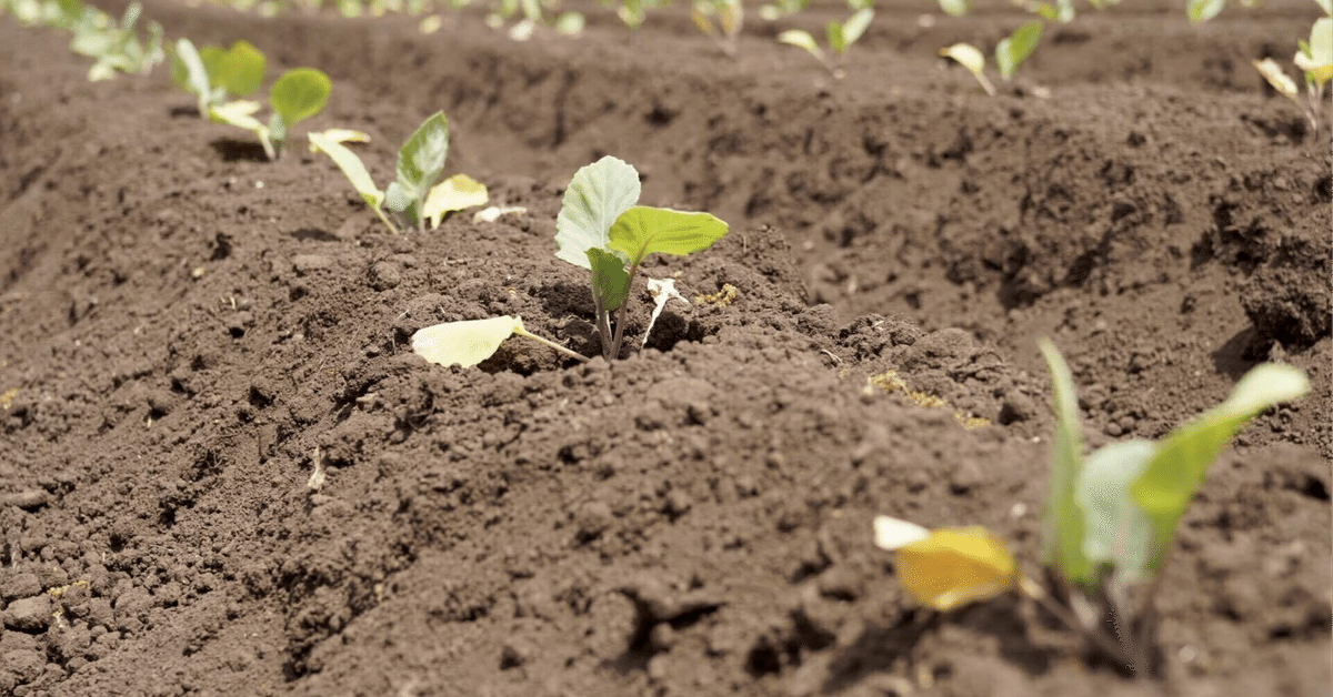 隣の芝生は青い様 ご依頼品 おもり部分 隣の芝生は青い様 ご依頼品