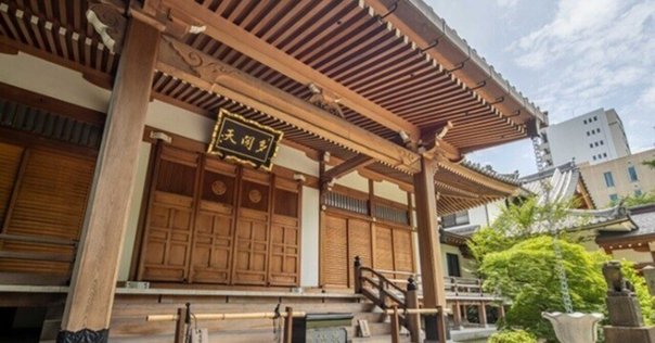 古本 / 秀行 飛天の譜 藤沢秀行タイトル戦全集 上下2巻 日本碁