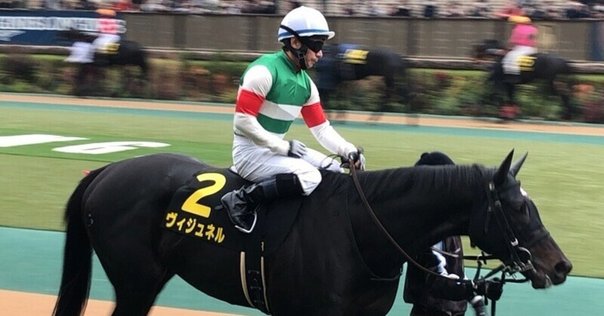 レイデオロ産駒の特徴は？東京鬼の芝B級種牡馬！芝の中長距離