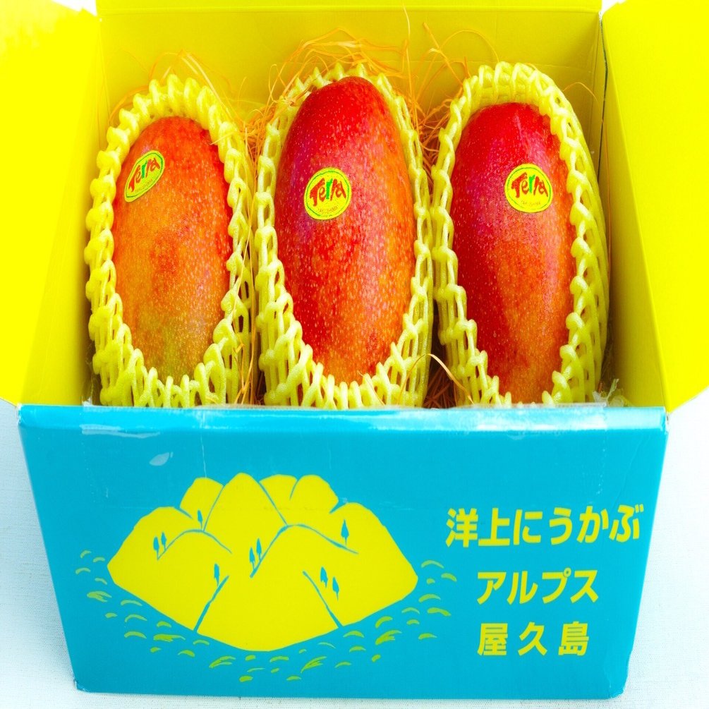 聖老人」百姓・詩人・信仰者として|山尾三省 [著]｜fu [フー子です ]