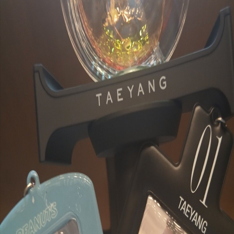 TAEYANG 2025 FAN MEETING [01] IN JAPAN 広島文化学園HBGホール｜ゆえ