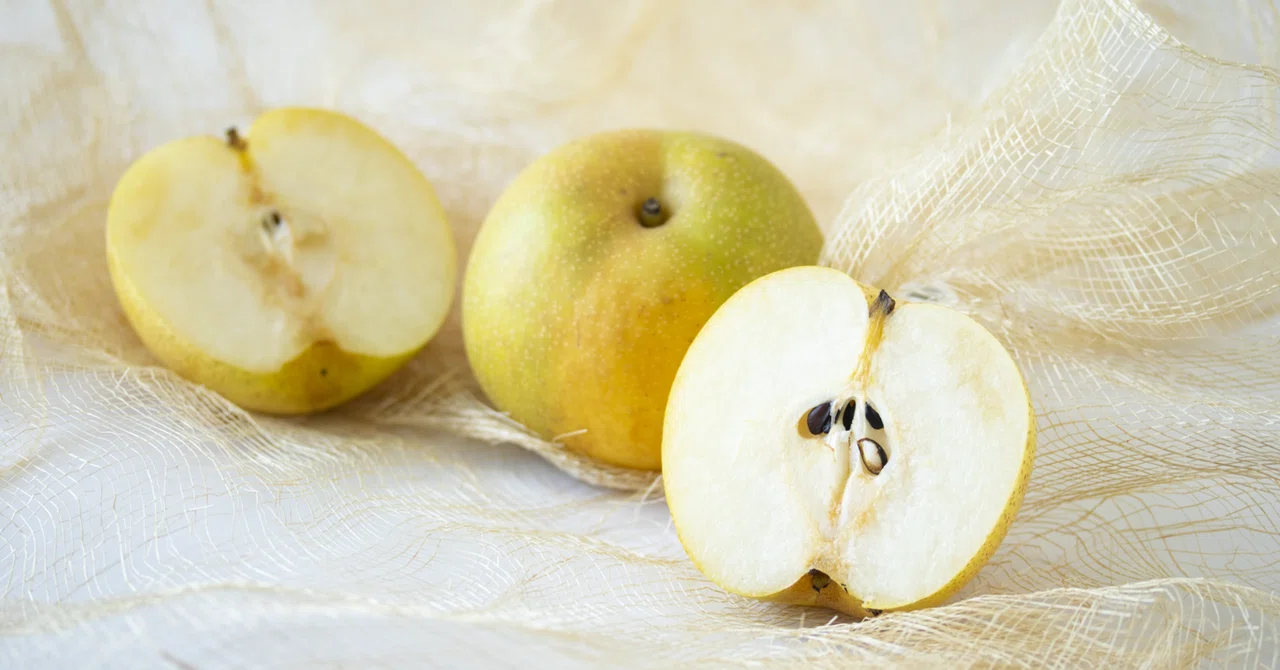 Memories of Pears｜かずかず