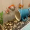 灯りの庭