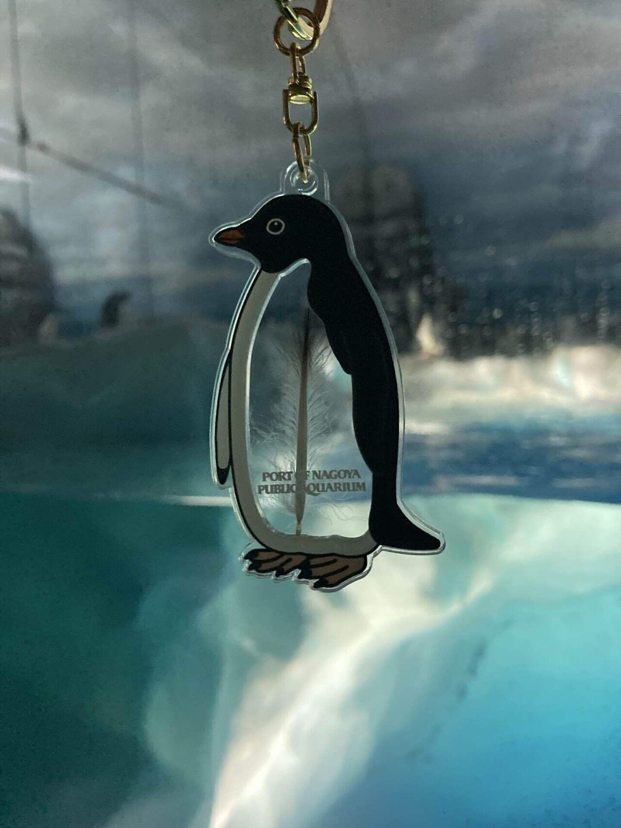 名古屋港水族館 ペンギンの羽根キーホルダー エンペラーペンギン 名古屋港水族館 エンペラーペンギン 羽根キーホルダー - メルカリ