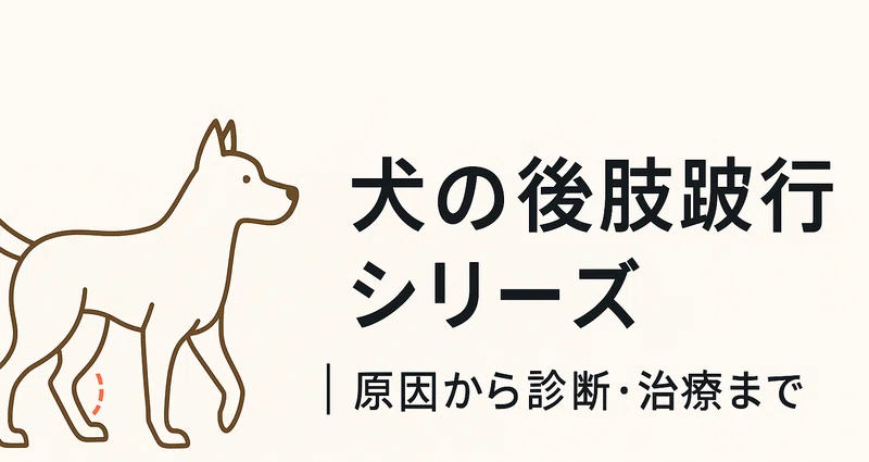 犬の後肢跛行シリーズ｜原因から診断・治療までの月別一覧｜獣医師
