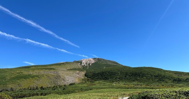 白山神社と被差別部落 Amazon.co.jp: 白山神社と被差別部落 : 本田 豊: Japanese Books