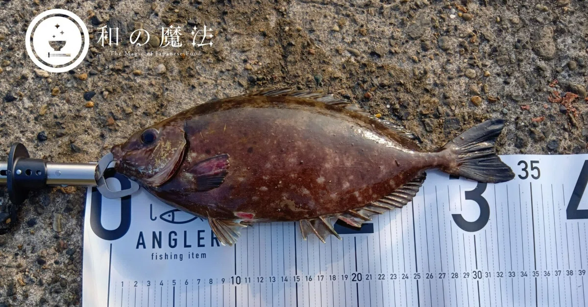 Led Lifespan An Unexpected Fishing Life Led by Health Consciousness|wanomahou