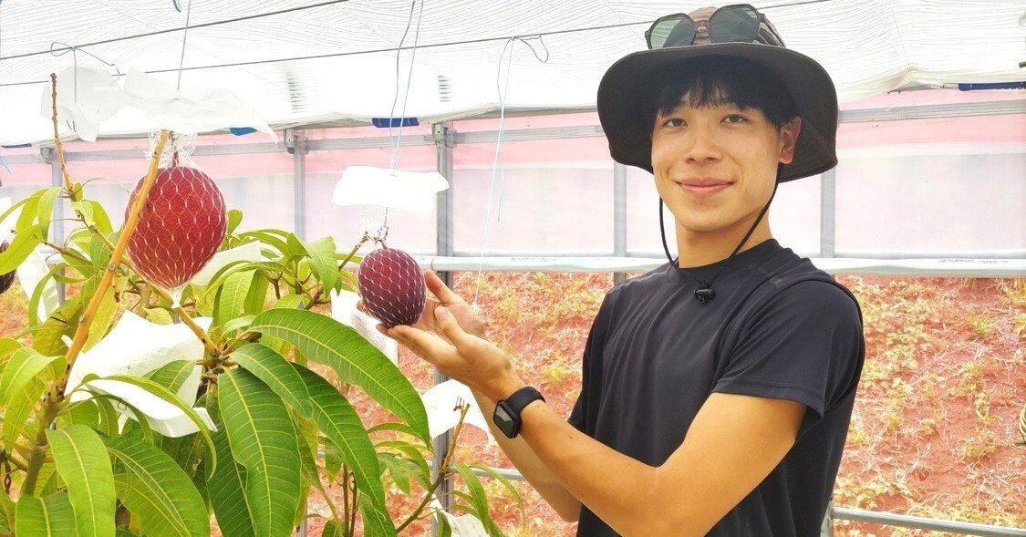 横浜マンゴーで挑む、新しい地域貢献のかたち 旭区下川井「横浜ワタヤ