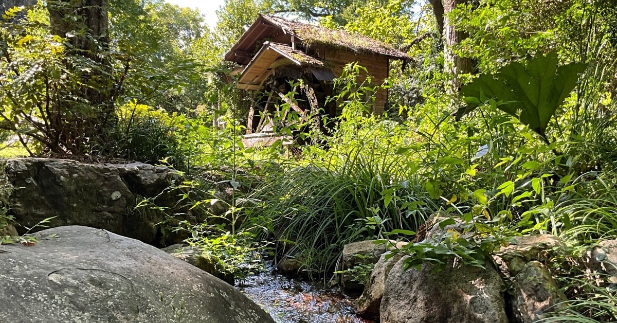 なからぎの森の水車（京都府立植物園）：2025年9月2日（火
