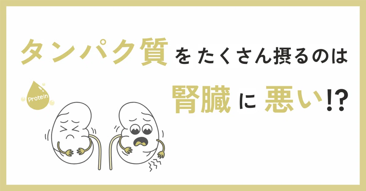 タンパク質をたくさん摂るのは、腎臓に悪い!?|株式会社F・Link