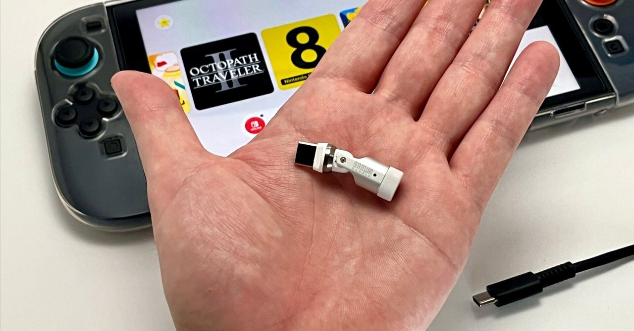 即購入歓迎‼️【良好状態】　Nintendo Switchの左にあるシャー芯 即購入歓迎‼️【良好状態】 Nintendo Switchの左にあるシャー芯