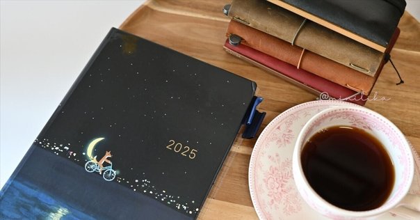 ほぼ日手帳2023で新旧トモエリバーを比較してみた｜ヤグチサトコ