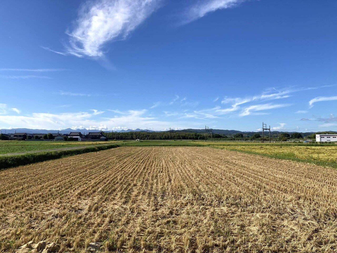 玄米10キロ 新米 2024年9月2日稲刈り ゼロから始める伊賀の