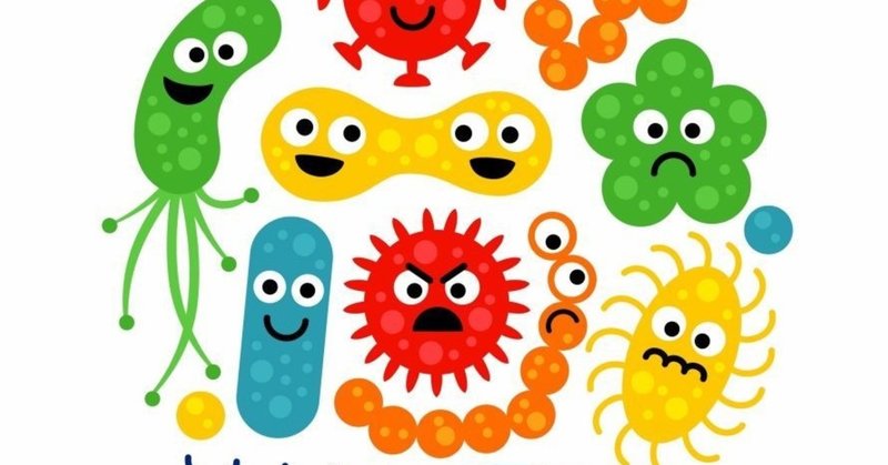 腸内細菌とは何か