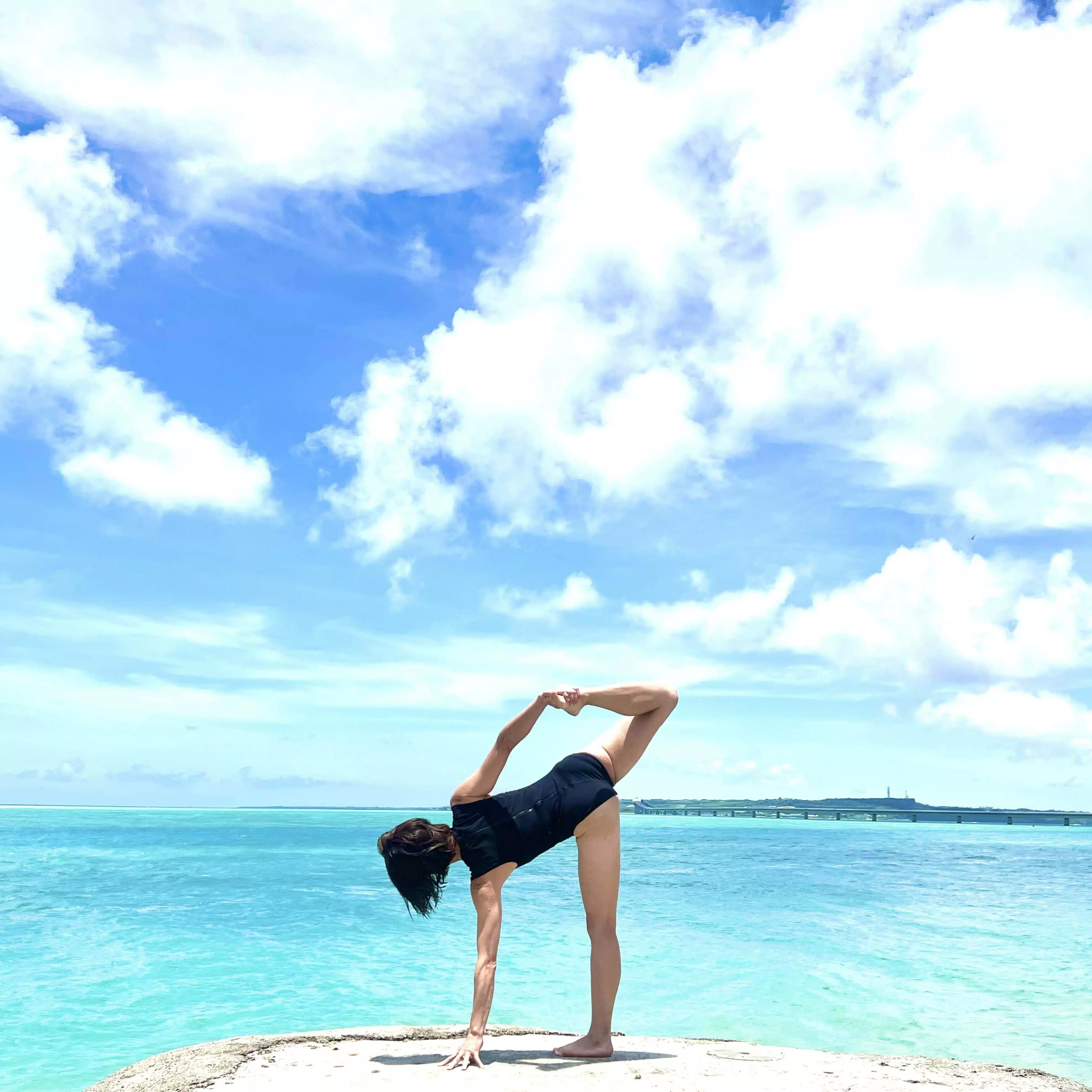 miyogastudio
