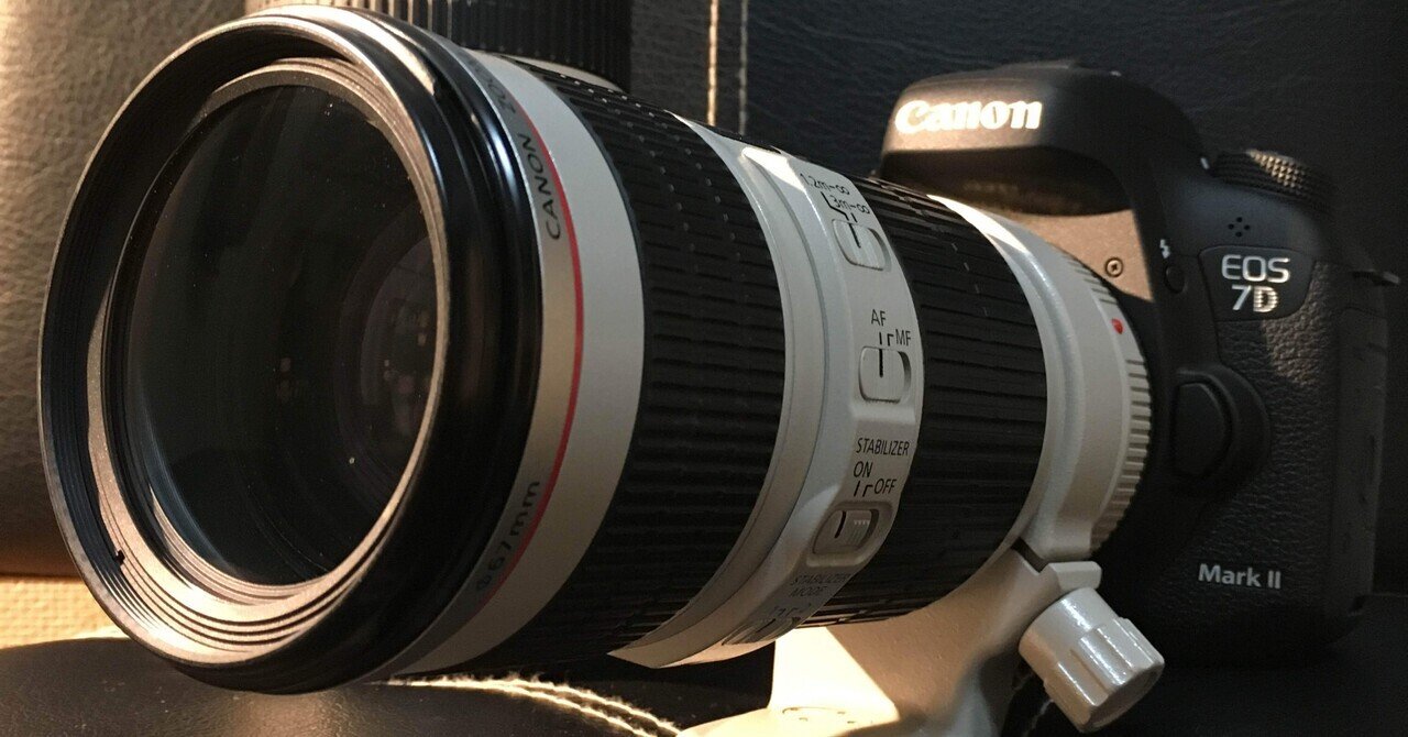 ニコン頑張れ！野鳥・スポーツ撮影のAPS-C市場は新型EOS R7 MarkⅡに奪