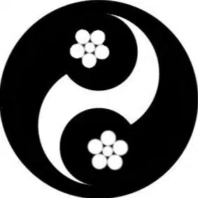 浅井叶