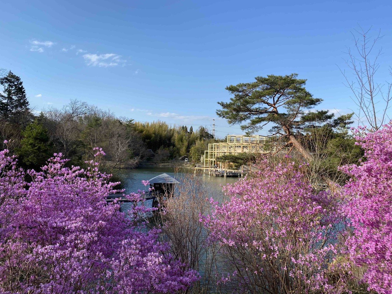 けいはんな記念公園 Keihanna Memorial Park March Hideo Fujiwara Note けいはんな記念公園 Keihanna Memorial Park March Hideo Fujiwara Note