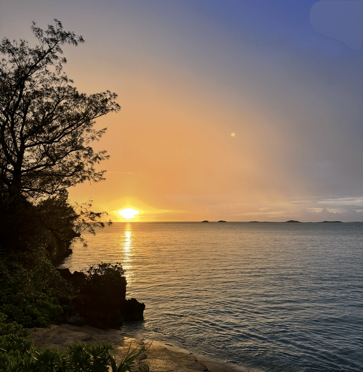 宮古島のんびり暮らし 宮古島でゆるく生きる40代主夫の日常/1週間ルーティン/年末