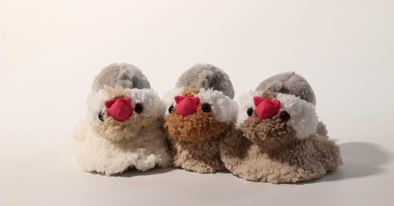 水野書店 本と文鳥で手に幸せ2025参加のお知らせ｜あんぶろーしあ