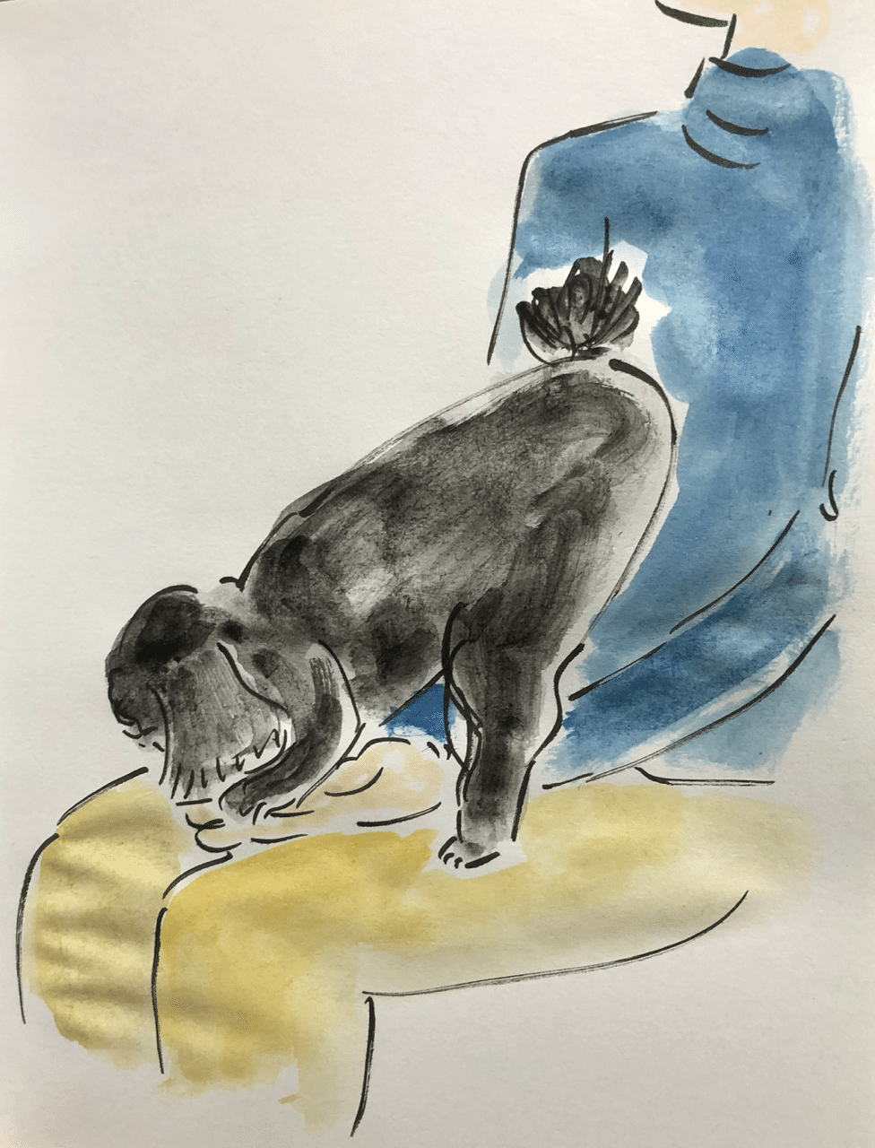 我が家の愛犬 Shin Note