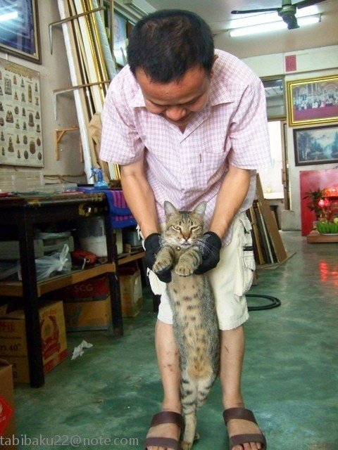 バイバイ またね タイ 森野バク 地球旅自炊派 Note