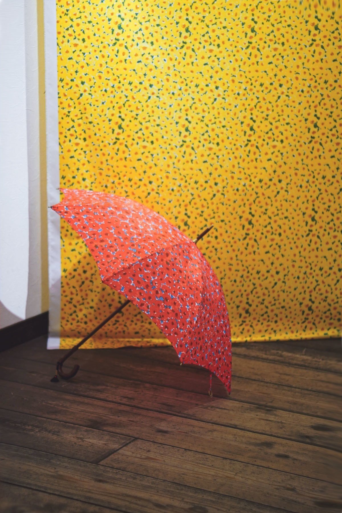 イイダ傘店 日傘 モクレン 定価約3.7万 日焼けあり 【公式通販】