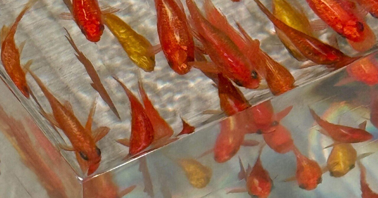 深堀隆介 金魚に魅せられた絵師の特大作品に唸る｜EGGSEED