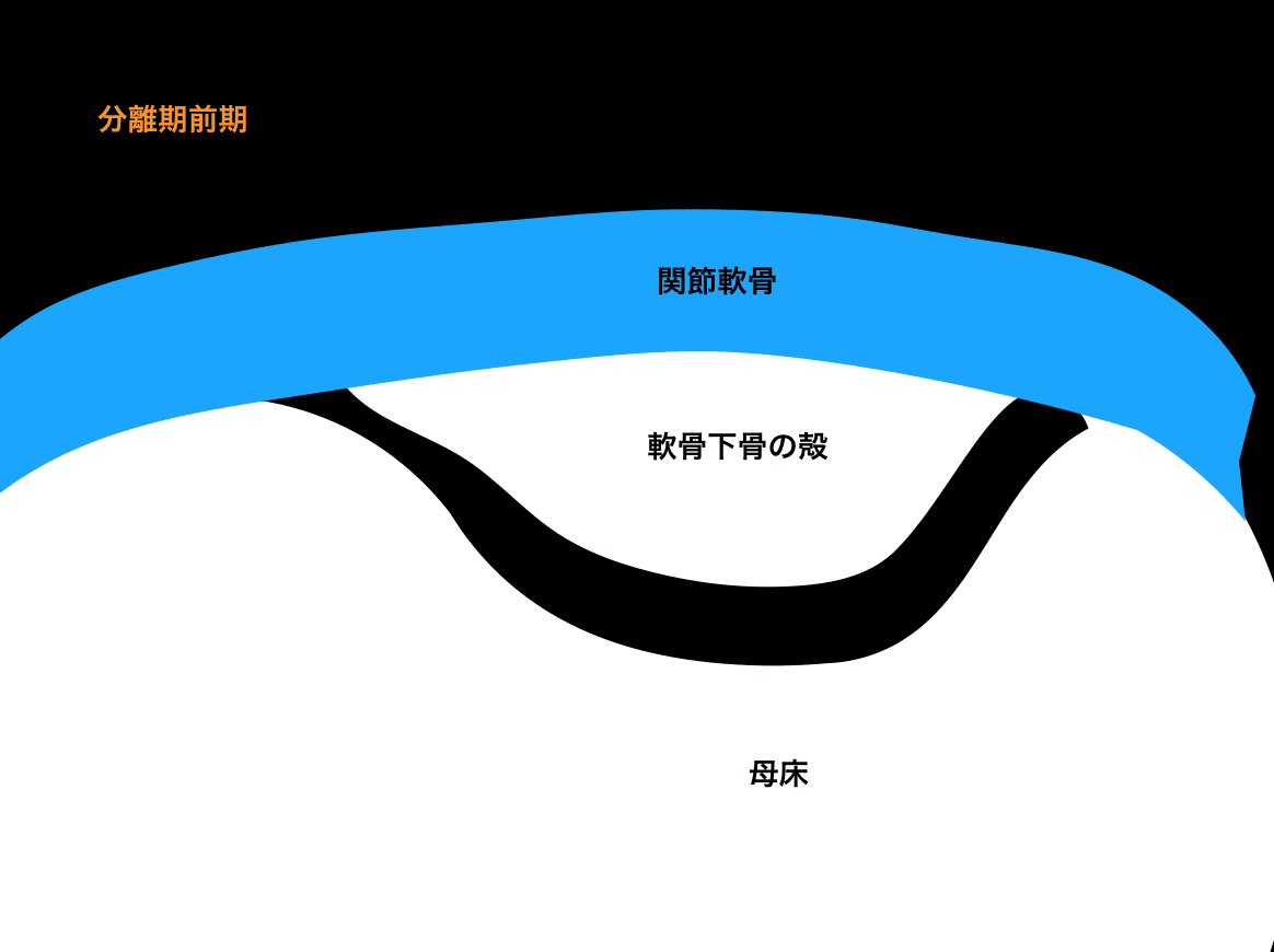 スクリーンショット 2020-03-20 19.17.13