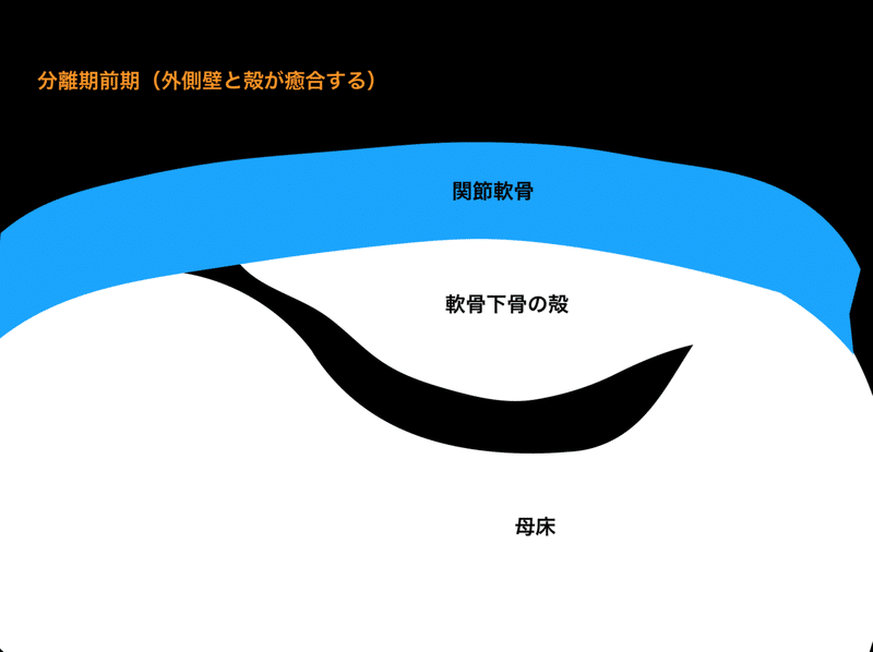 スクリーンショット 2020-03-20 19.16.16