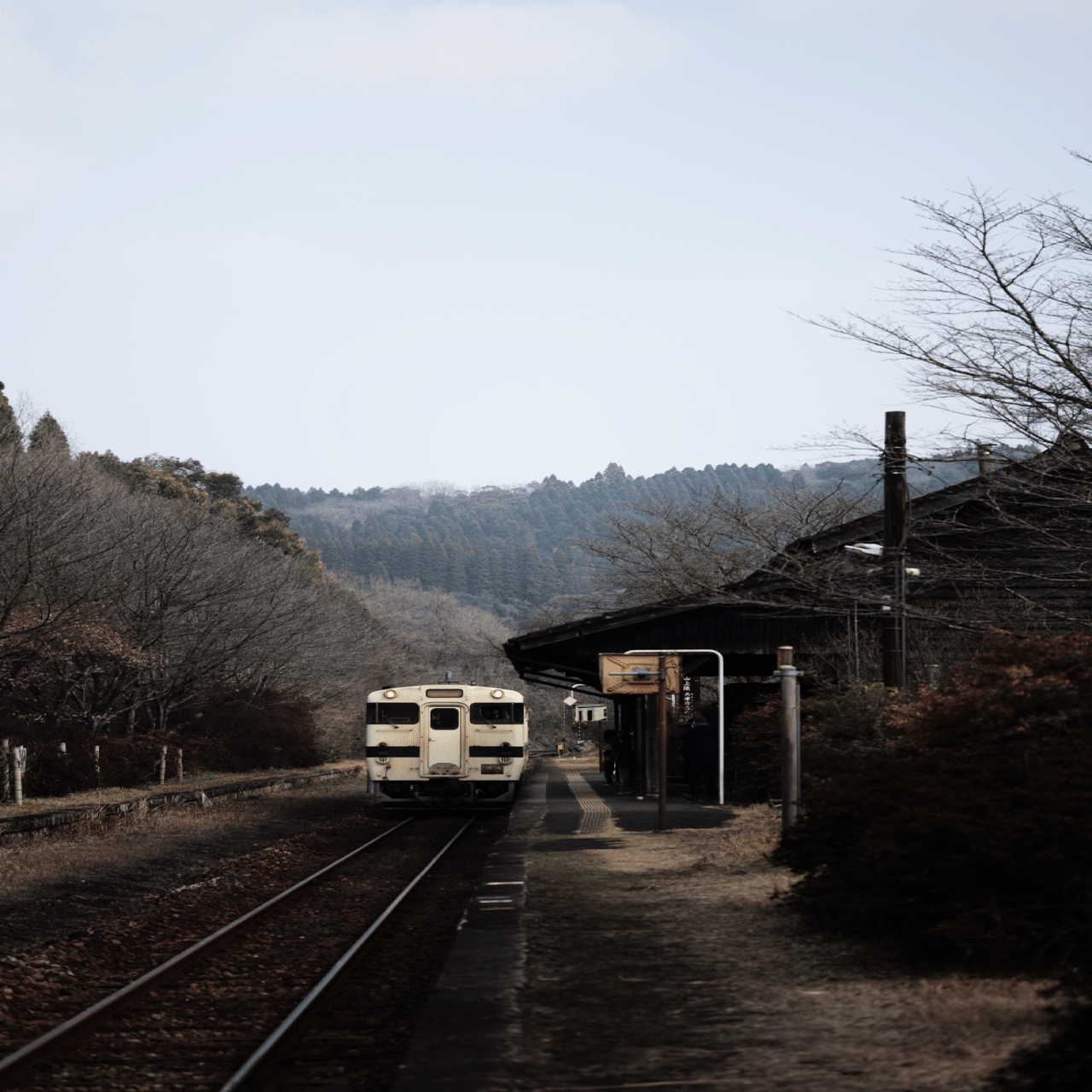 Summicron 90mm f2 3rdを改めて使ってみる｜nay