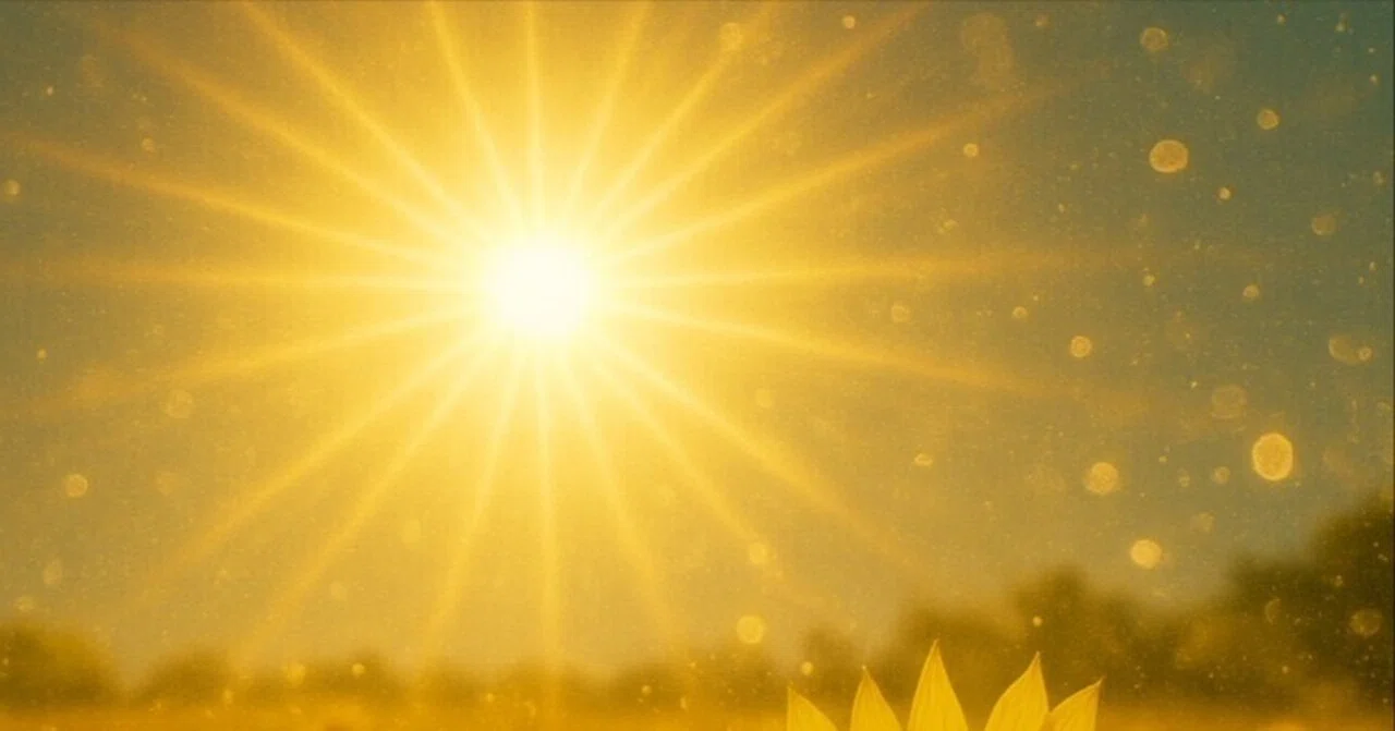 Soul of the Organization 11 | A Sacred Approach to Organizational ...