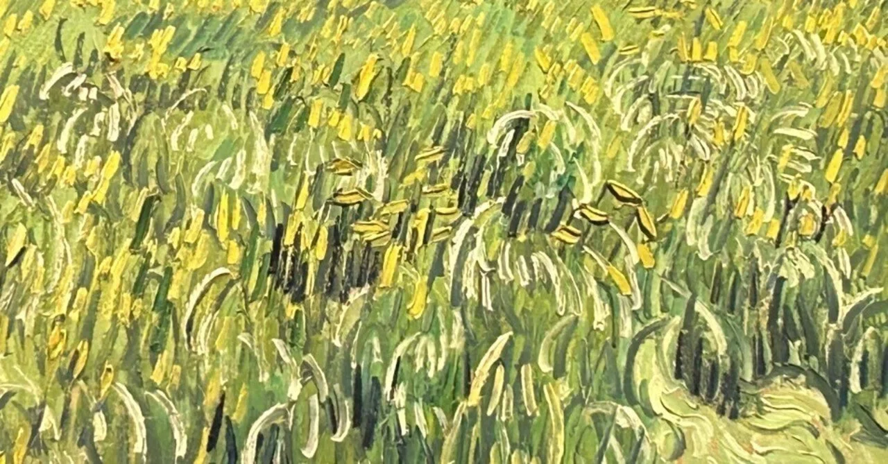子供のためのオルセー美術館(216)麦畑のひとつの花/ゴッホ・キッチン