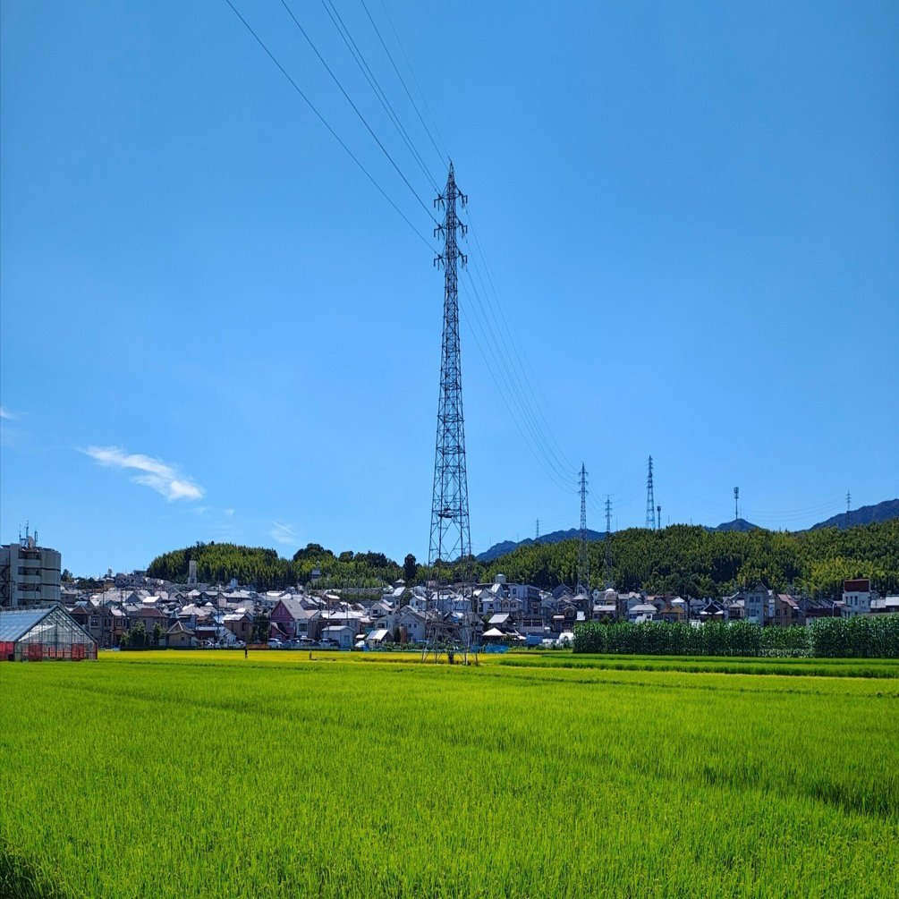 新しいスマホの写真をこれが「今の写真」だなと思い直す｜いちろく📷️