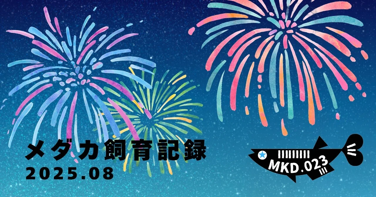 メダカ飼育記録 2025年8月｜MKD.