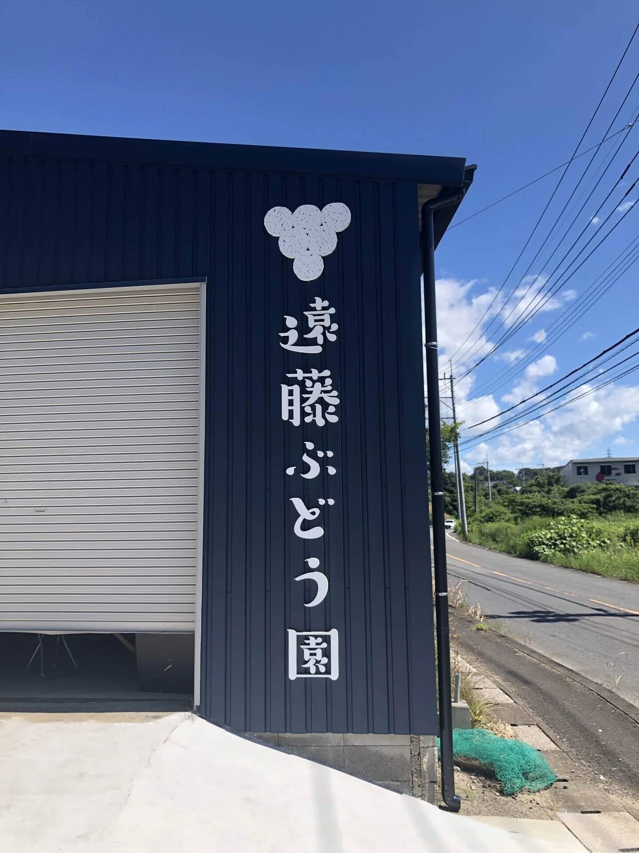 移住体験記】大阪の元サラリーマンが嘉麻市でブドウ園を経営している話