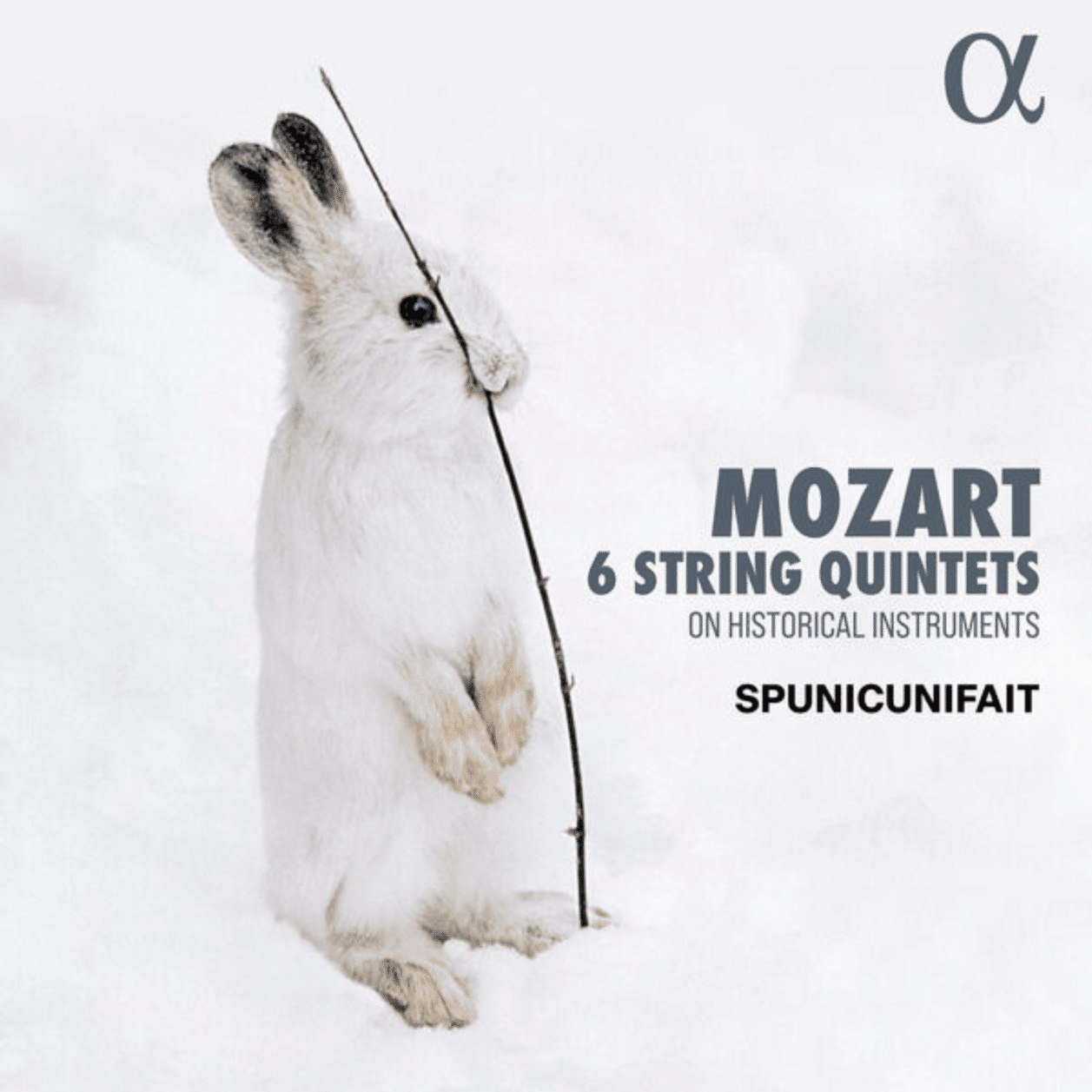 いつも心にスプニクニフェを。モーツァルト弦楽五重奏曲全集｜picolist