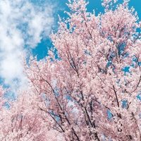 26歳は人生の転機説 について 26歳を目前にして考える 小林 冬馬