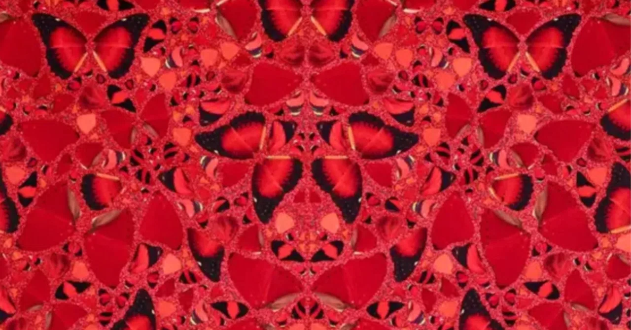 ダミアン・ハースト Damien Hirst】人気シリーズ「THE EMPRESSES