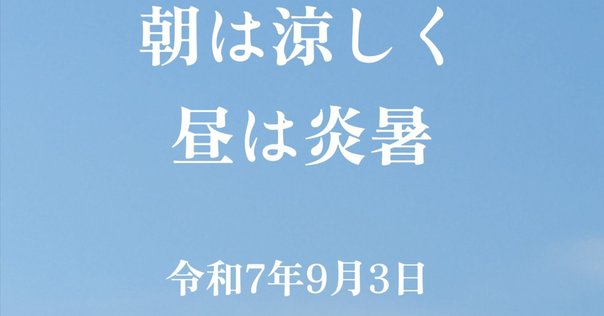 【王選手が育った日本最初の少年野球場】隅田公園少年野球場の石10個セット 日本で最初の少年野球場 - 発祥の地コレクション
