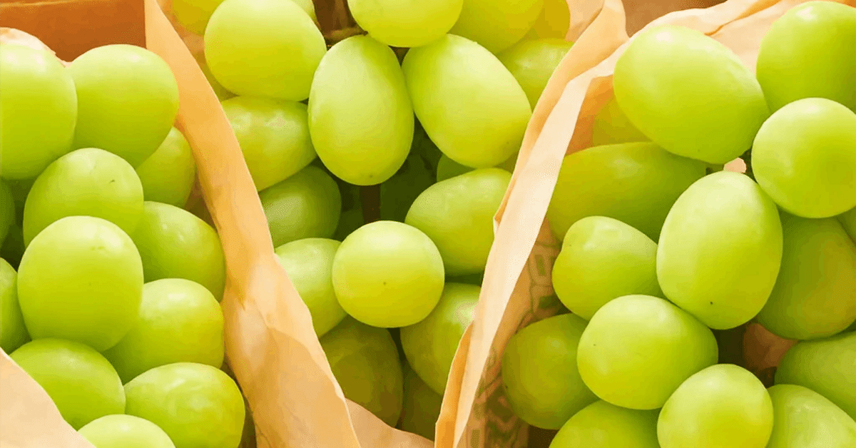 リピーター様限定岡山産シャインマスカット訳あり粒のみ1キロ